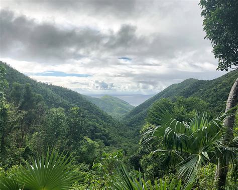 Reef Bay Trail St John Hiking Guide Snorkel And Hike