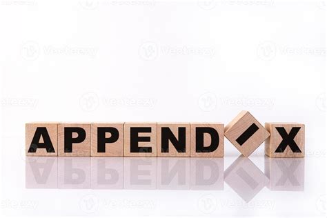 Appendix Word Text Written On Wooden Cubes Building Blocks Over