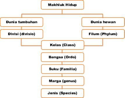 Klasifikasi Makhluk Hidup Sejarah Sejarah