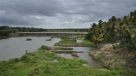 Explained Why Is The Cauvery Water Sharing Issue Flaring Up Again