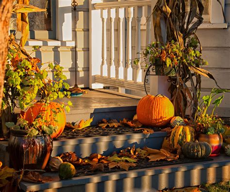 How to stop pumpkins from rotting with simple solutions | Homes and Gardens