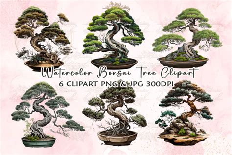 Watercolor Bonsai Tree Clipart Graphic By Diceenid Creative Fabrica