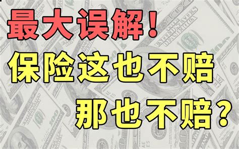 “这也不赔，那也不赔”？这是你对保险最大的误解！【腿哥聊保险037】哔哩哔哩bilibili