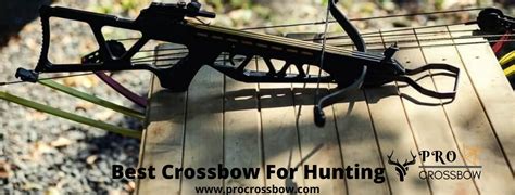 The 9 Best Crossbows For Deer Hunting-Reviews 2023 | Procrossbow.com