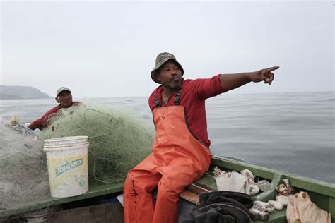 La Lucha De Los Pescadores Artesanales Contra La Informalidad Y La