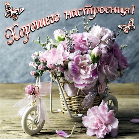 Хорошего дня и отличного настроения подборка открыток