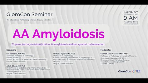 Aa Amyloidosis 20 Years Journey To Identification Aa Amyloidosis