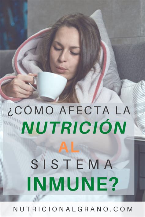 ¿cómo Afecta La Nutrición Al Sistema Inmune Consejos De Alimentación