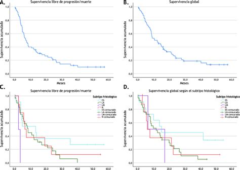 A Supervivencia Libre De Progresi N B Supervivencia Global C