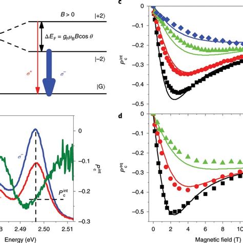 Exciton polarization in Sample 1 a, Scheme of optical transitions ...