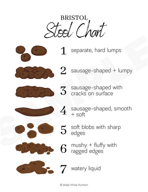 Bristol Stool Chart Artofit