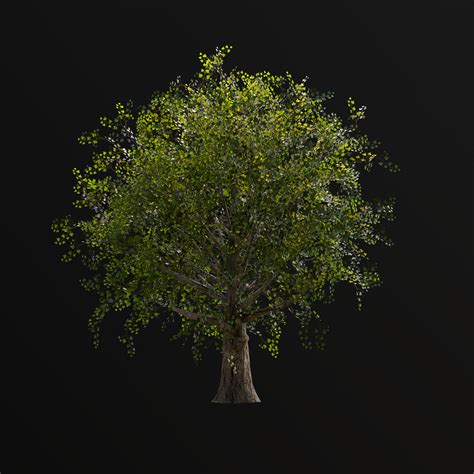 realism tree realistic tree pack  mobiledesktop  props ue