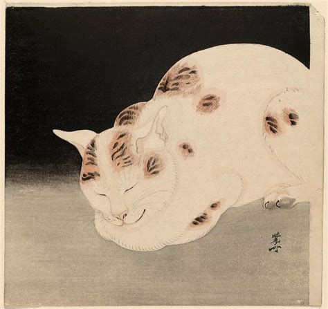 Kawanabe Kyosai Sleeping Cat Museum Of Fine Arts Ukiyo E Search