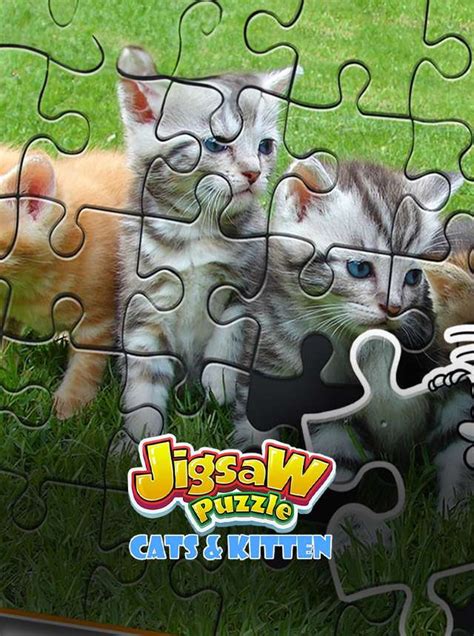 Play Cat Games Online on PC & Mobile (FREE) | now.gg