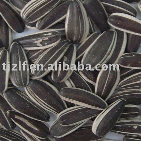 Sunflower Seed Products China Sunflower Seed Supplier