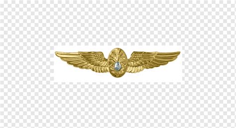 Aviación Nacional Museo Museo Vuelo Cirujano Insignia Estados Unidos