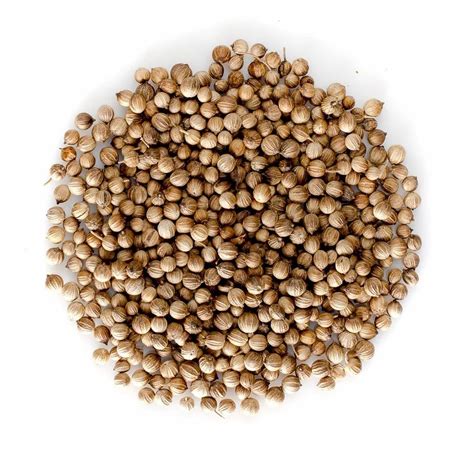 Grade Badami Natural Coriander Seed Form Seeds Kg At Rs Kg In