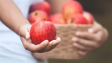 Cu Ntas Calor As Tiene Una Manzana Y Por Qu Vale La Pena Ingerirlas Todas