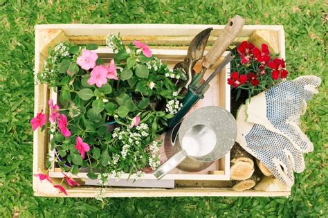 Jarra Metálica Cerca De Flores Y Equipo De Jardinería En Caja De Madera