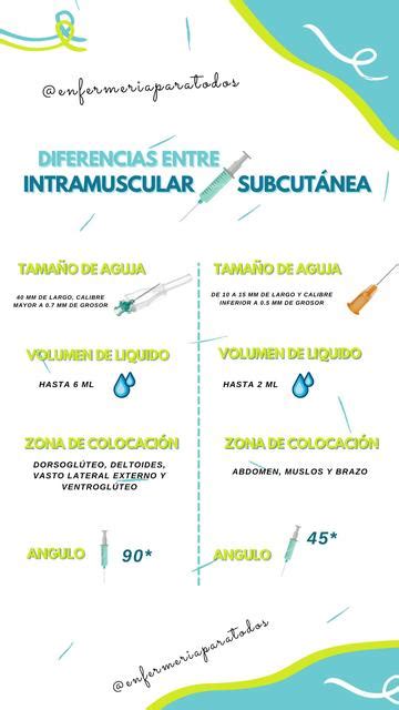 Diferencias Entre Inyección Intramuscular E Inyección Subcutánea María José Gomes