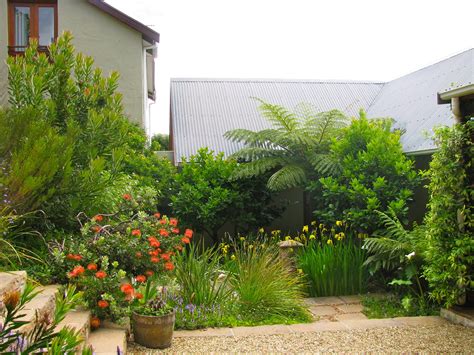 My Indigenous Garden In Cape Town Small Garden Landscape Garden