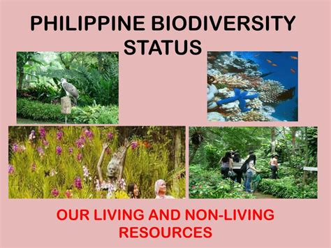 Ppt Philippine Biodiversity Status Powerpoint Presentation Free Download Id 3752585