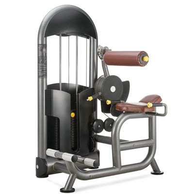 Back extension machine in China, Back extension machine Manufacturers ...