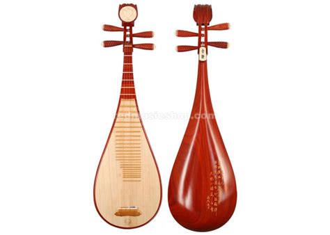 Xinghai Professional Rosewood Pipa, Chinese Pipa lute, E0053 - Red ...