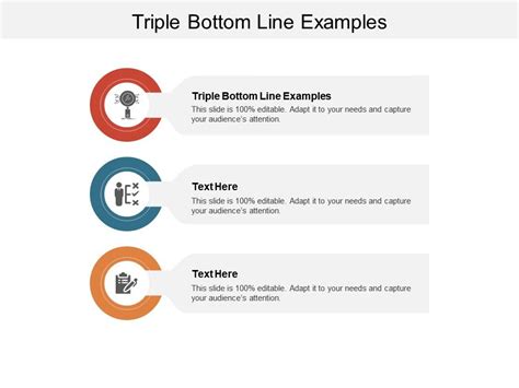 Triple Bottom Line Examples Ppt Powerpoint Presentation Infographics