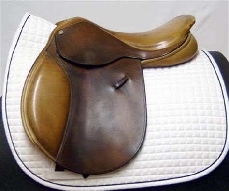 Saddle Fitting: The Inside Journey: Back to Basics - Saddle Types