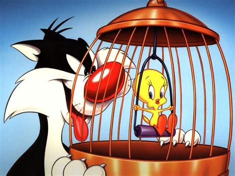 Tweety And Sylvester Wallpapers Cartoon Hq Tweety And Sylvester