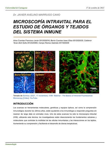 Microscop A Intravital Para El Estudio De Rganos Y Tejidos Del Sistema