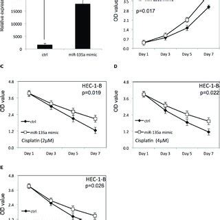 Downregulation Of MiR 135a Decreased The Proliferation And Survival Of