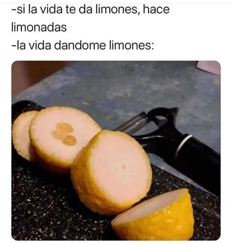 Si La Vida Te Da Limones Hace Limonadas La Vida D Ndome Limones Memes