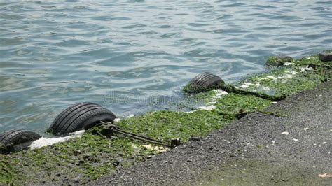 Water Pollution with Garbage on Water Stock Video - Video of country ...