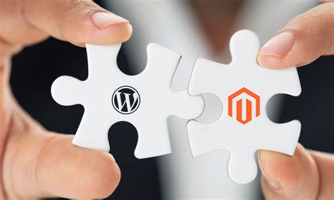 Magento Wordpress Integration A Foolproof Guide