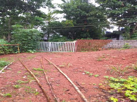 Residential Plot 22 Cent For Sale In Melechowa South Kannur REI1133285