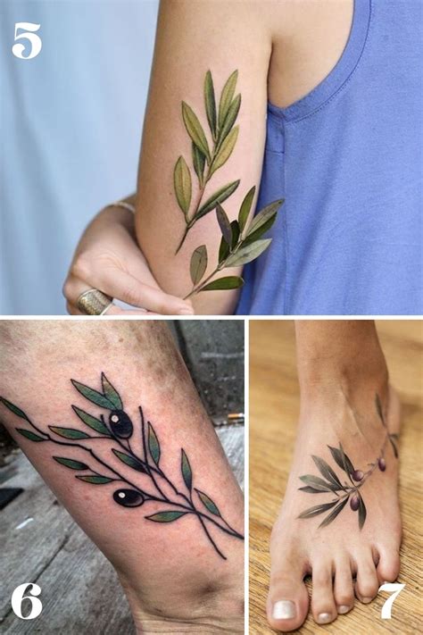 Olive Branch Tattoo Design Find Peace With These Stunning Designs