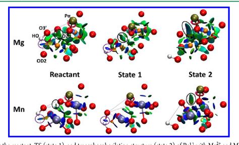 Figure 1 From Toward A Deeper Understanding Of Enzyme Reactions Using