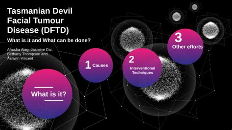 Tasmanian Devil Facial Tumour Disease by Bethany Thompson on Prezi