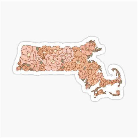 Massachusetts State Flowers Sticker For Sale By Jamiemaher15 Redbubble