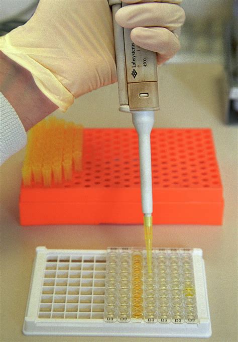 Elisa Test Plate Photograph By Sotiris Zafeirisscience Photo Library