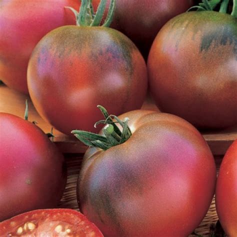 Tomato Black Russian