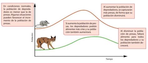 Biocenosis Qués Es Tipos Componentes Y Ejemplos Ovacen