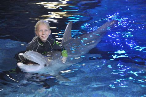 Epcot Dolphins In Depth Behind The Scenes Tour Amber Likes