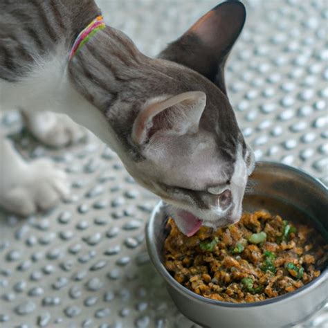 Feeding A 3 Month Old Kitten Portion Sizes Types Of Food And Nutritional Needs The Knowledge Hub