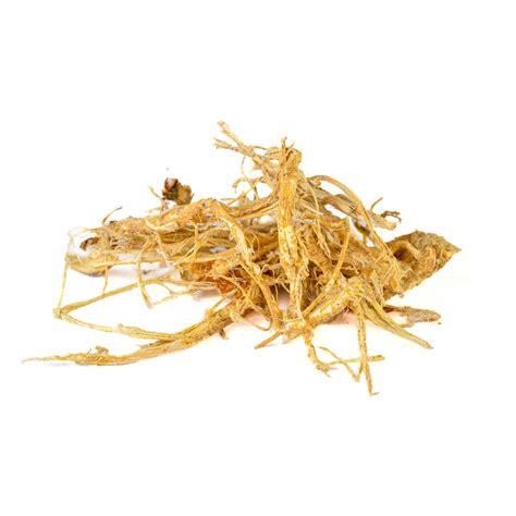 astragalus root oshala farm