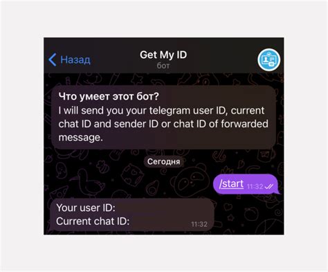 Как узнать ID в Telegram: свой, другого пользователя, чата, канала ...
