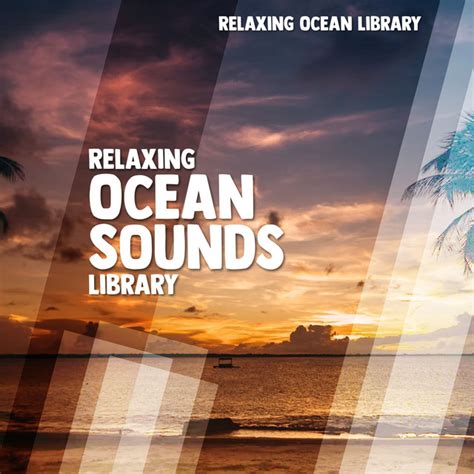 Relaxing Ocean Sounds Library Album By Relaxing Ocean Library Spotify