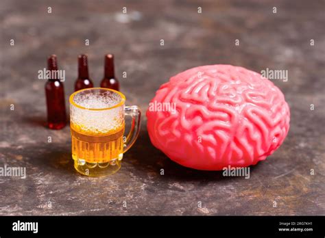 Modelo anatómico del cerebro humano acompañado de un vaso de cerveza en